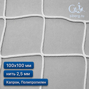 Сетка для ограждения спортивных площадок 100х100 мм 2,5 мм белый (Капрон, Полипропилен)