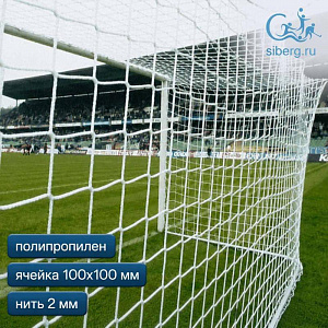 Cетка для футбольных ворот 2 мм ячейка 100х100 мм (пара)