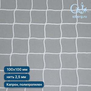 Сетка для спорта ячейка 100х100 мм нить 2,5 мм (полипропилен, капрон)